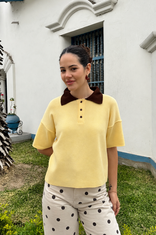 Polo Camisero Helado Sabor Lúcuma
