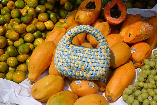 Bolso Coco Bag Arandano